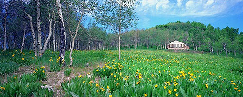 A vacation yurt in Utah. Photo courtesy of Rainier Yurts.